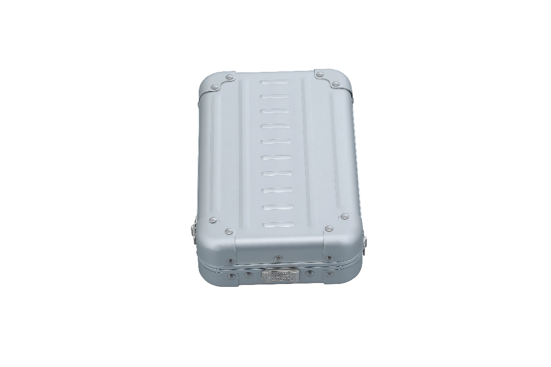 Vertical Mini Aluminum Crossbody Case: Travel Essentials Bag
