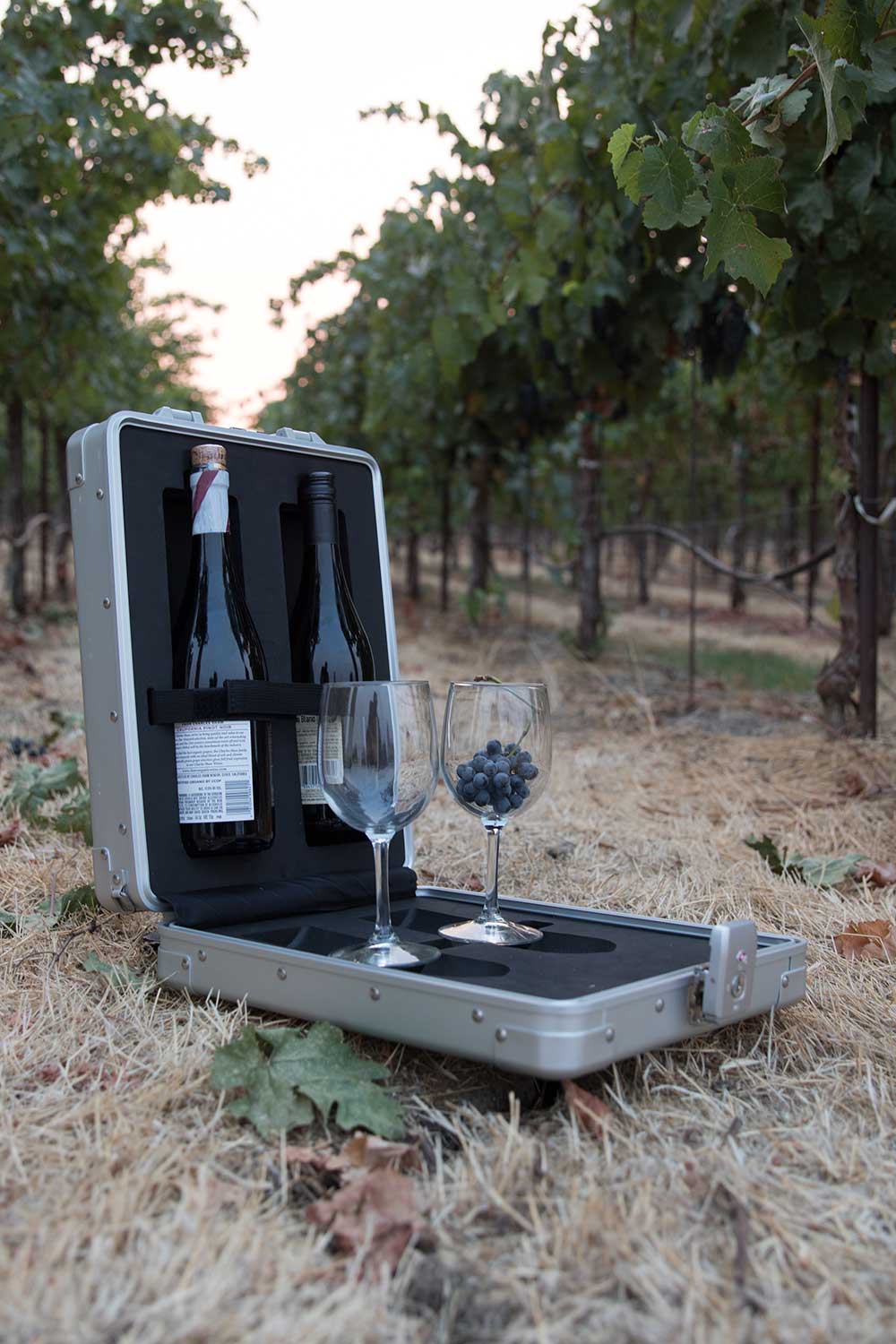 Wine Case