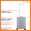Fron view of Aleon vertical carry on in platinum