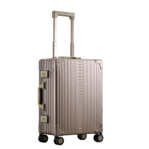 side profile of the international carry on in bronze